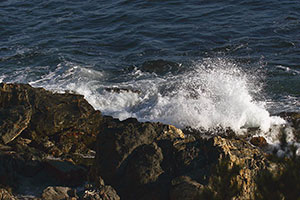 Milieu marin Milieu marin