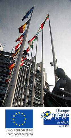 Le Fonds Social Européen (FSE) Le Fonds Social Européen (FSE)