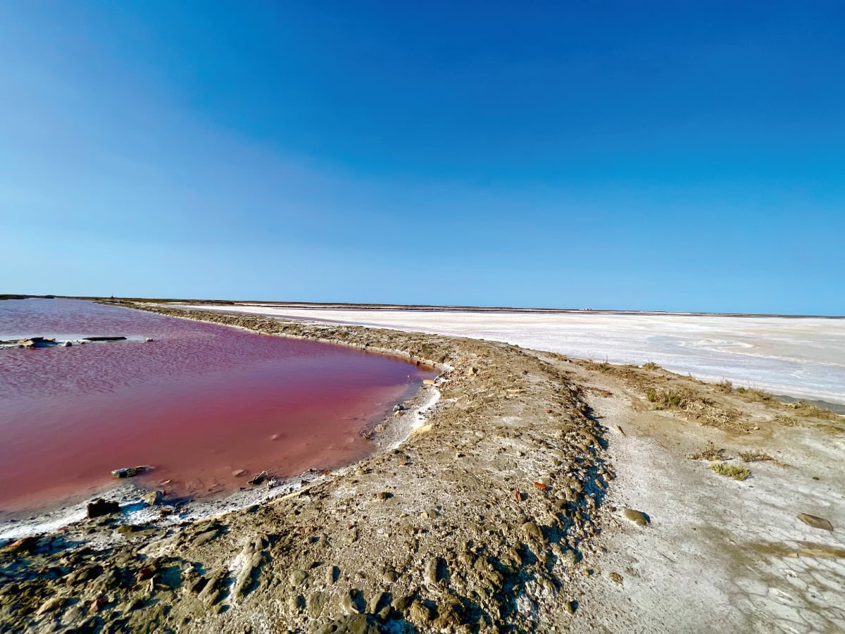 Le cristallisoire est la dernière étape avant l'extraction du sel. Il y en a 25 aux Salins répartis sur 345 hectares