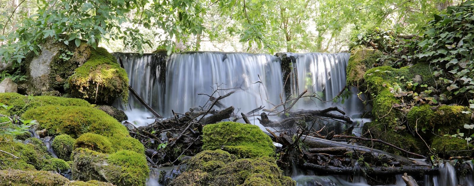 Parc de la vallée de Saint-Pons