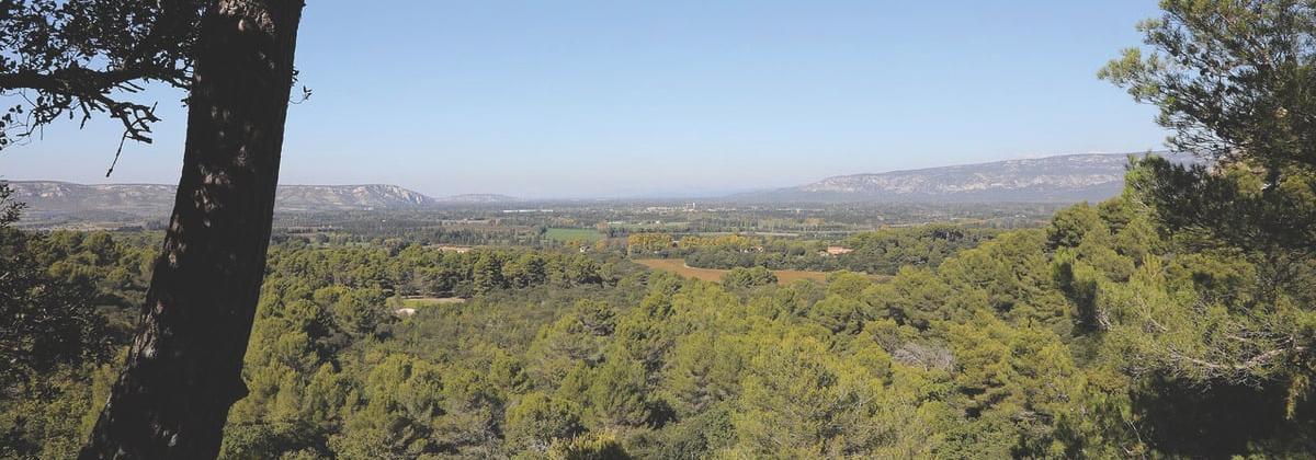 Vue panoramique sur une vallée verdoyante avec des collines boisées, prise depuis un point élevé ombragé par des arbres.