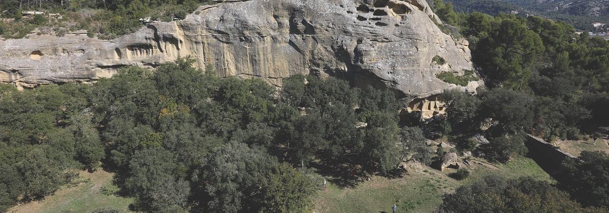 Grande falaise rocheuse beige avec des cavités, entourée de végétation dense et de pins, sous un ciel dégagé.