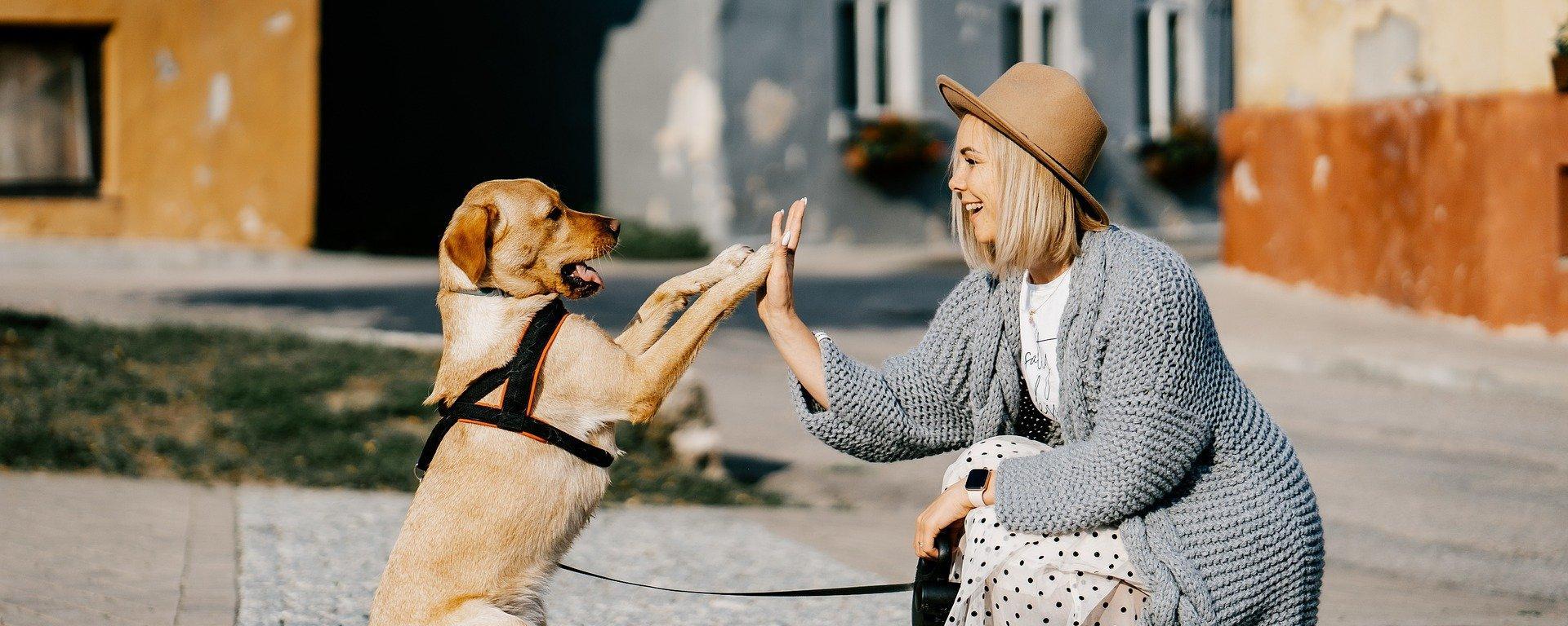 girl_and_dog