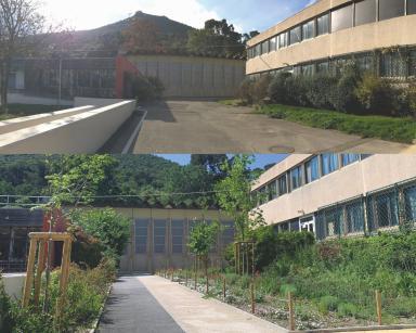 photo 2 en 1 de la végétation peu luxuriante du collège avant végétalisation puis beaucoup plus développée après - Agrandir l'image, fenêtre modale