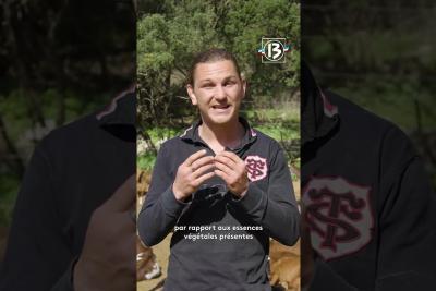 Rencontre avec Bastien Falcot qui perpétue la tradition de l’élevage de la chèvre du Rove - Lire la vidéo 3 sur 5, fenêtre modale