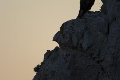 Agrandir l'image 2 sur 5, fenêtre modale