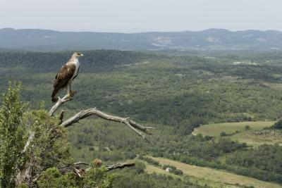 Agrandir l'image 3 sur 5, fenêtre modale