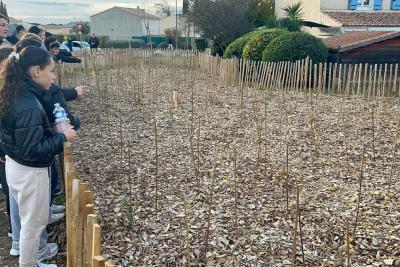 Agrandir l'image 1 sur 4, fenêtre modale