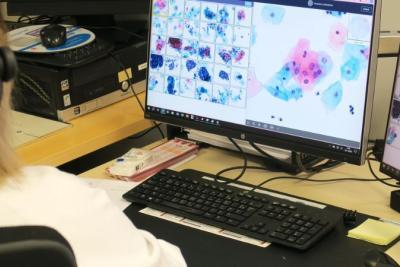 Agrandir l'image 3 sur 3, fenêtre modale