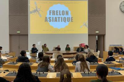 Agrandir l'image 2 sur 6, fenêtre modale