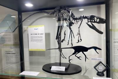 Agrandir l'image 7 sur 10, fenêtre modale