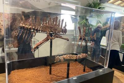 Agrandir l'image 9 sur 10, fenêtre modale