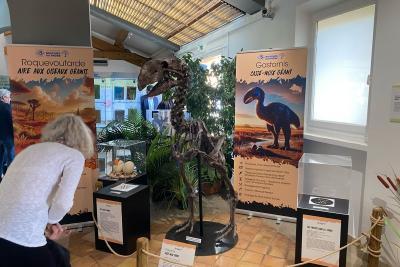 Agrandir l'image 10 sur 10, fenêtre modale