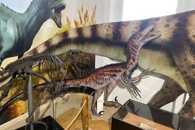 Agrandir l'image 4 sur 10, fenêtre modale