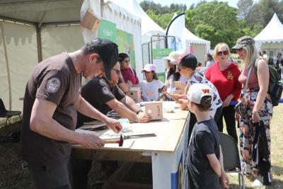 Agrandir l'image 4 sur 15, fenêtre modale
