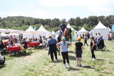 Agrandir l'image 1 sur 15, fenêtre modale