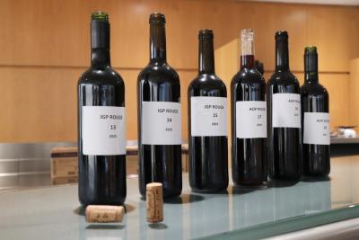 Agrandir l'image 2 sur 4, fenêtre modale