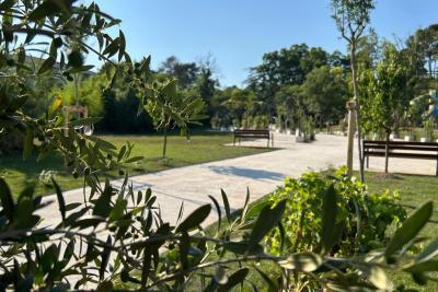 Agrandir l'image 3 sur 4, fenêtre modale