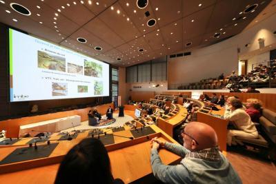 Agrandir l'image 3 sur 6, fenêtre modale