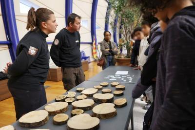 Agrandir l'image 6 sur 6, fenêtre modale