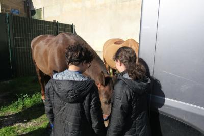 Agrandir l'image 5 sur 8, fenêtre modale