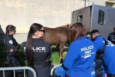 Agrandir l'image 4 sur 8, fenêtre modale