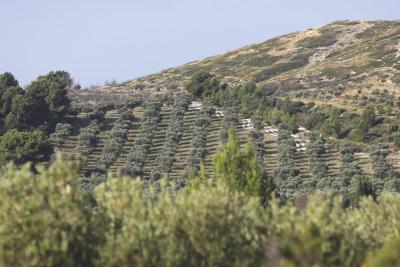 Agrandir l'image 1 sur 6, fenêtre modale