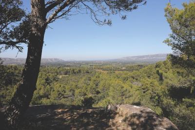 Vue panoramique sur une vallée verdoyante avec des collines boisées, prise depuis un point élevé ombragé par des arbres. - Agrandir l'image 1 sur 4, fenêtre modale