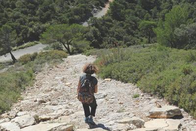 Une personne marche sur un chemin rocailleux entouré de végétation dense. Le sentier monte vers une colline recouverte de verdure, sous un ciel clair avec quelques nuages. - Agrandir l'image 3 sur 4, fenêtre modale