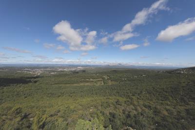 Une vaste étendue de forêt verdoyante s'étend sous un ciel bleu parsemé de nuages. À l'horizon, on distingue des montagnes et une ville ou un village en contrebas. - Agrandir l'image 1 sur 4, fenêtre modale