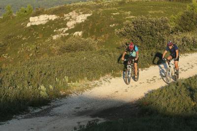 Agrandir l'image 7 sur 11, fenêtre modale