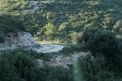 Agrandir l'image 1 sur 11, fenêtre modale