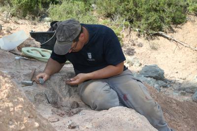 Agrandir l'image 1 sur 15, fenêtre modale