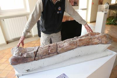 Agrandir l'image 3 sur 15, fenêtre modale