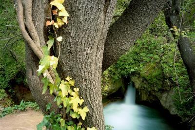 Agrandir l'image 3 sur 11, fenêtre modale