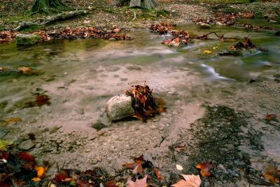 Agrandir l'image 2 sur 11, fenêtre modale