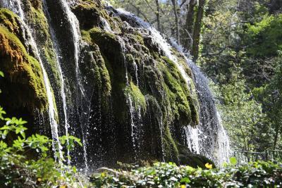 Agrandir l'image 11 sur 11, fenêtre modale