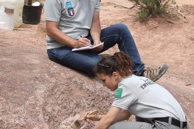 Agrandir l'image 8 sur 15, fenêtre modale