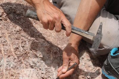 Agrandir l'image 9 sur 15, fenêtre modale