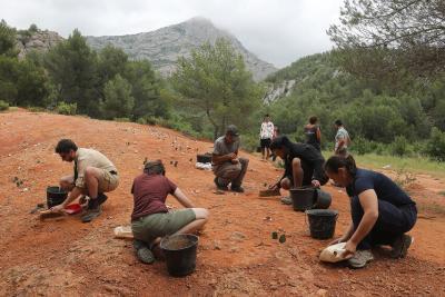 Agrandir l'image 14 sur 15, fenêtre modale