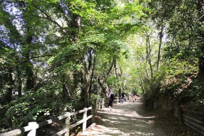 Agrandir l'image 1 sur 11, fenêtre modale