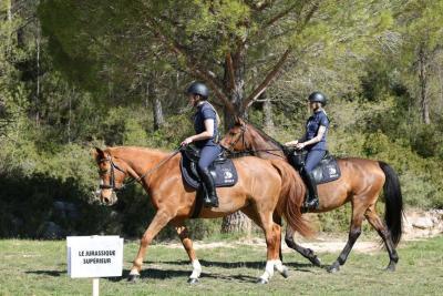 Agrandir l'image 5 sur 6, fenêtre modale