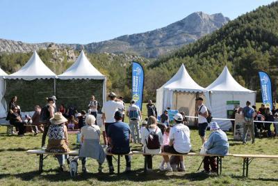 Agrandir l'image 4 sur 6, fenêtre modale