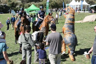 Agrandir l'image 6 sur 6, fenêtre modale
