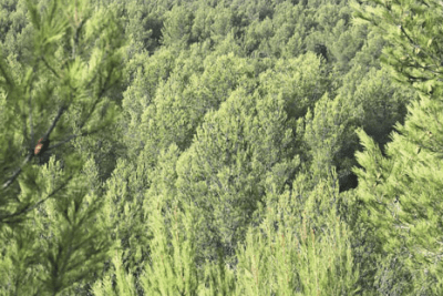 Agrandir l'image 2 sur 4, fenêtre modale