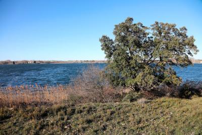 Agrandir l'image 3 sur 7, fenêtre modale