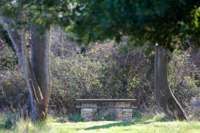 Agrandir l'image 2 sur 7, fenêtre modale