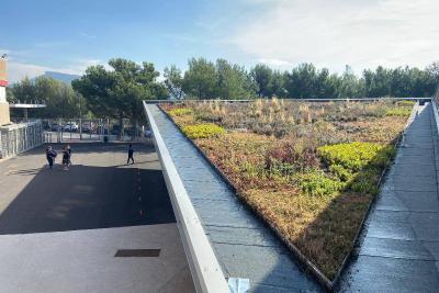 Vue d’un toit végétalisé avec différentes plantes. En contrebas, quelques personnes circulent dans un espace extérieur du site. - Agrandir l'image 3 sur 6, fenêtre modale