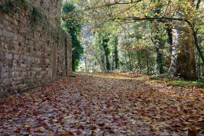 Agrandir l'image 5 sur 5, fenêtre modale