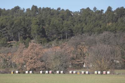 Agrandir l'image 4 sur 5, fenêtre modale